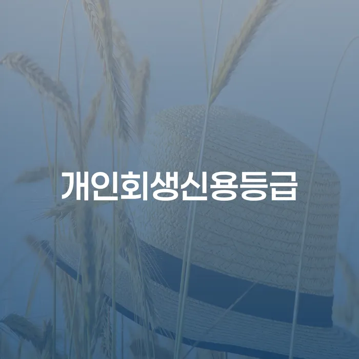 개인회생기각사유 채무조정제도을 이용하여 어떻게 해야