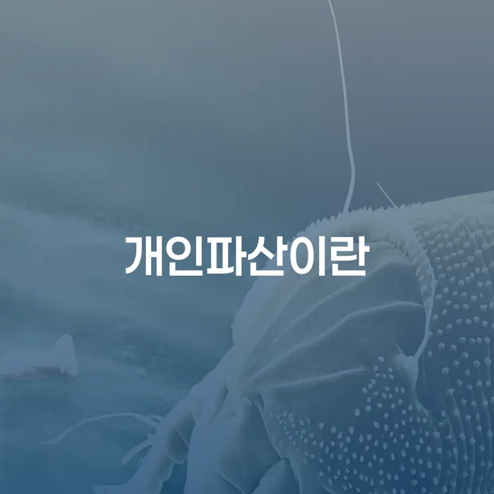 개인파산서류 개인회생으로 방법 상담받아보기