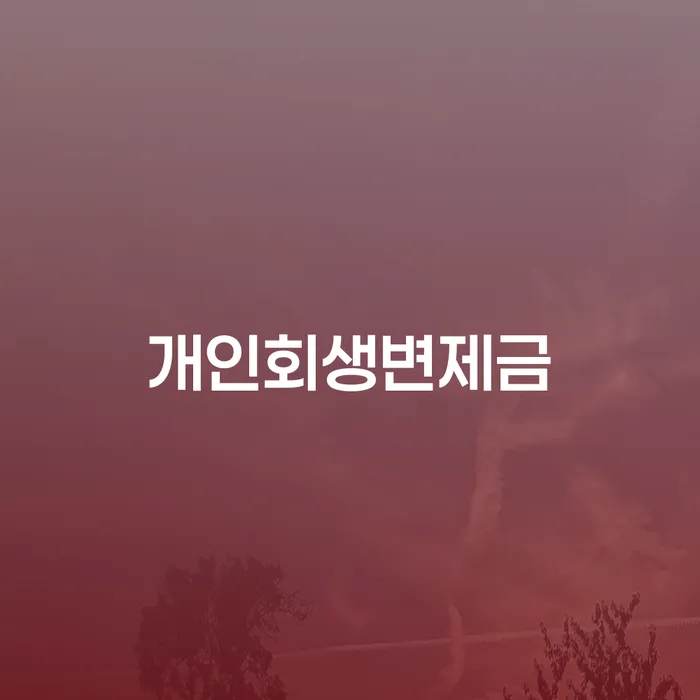 신용회복방법 개인회생으로 방법 이렇게 진행을