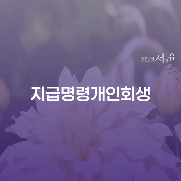개인회생변호사 개인회생 제도 어떻게 해야하는지