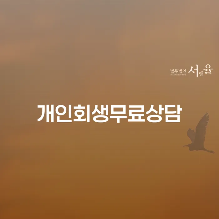 개인회생 단점 채무조정제도을 이용하여 신청했을 경우