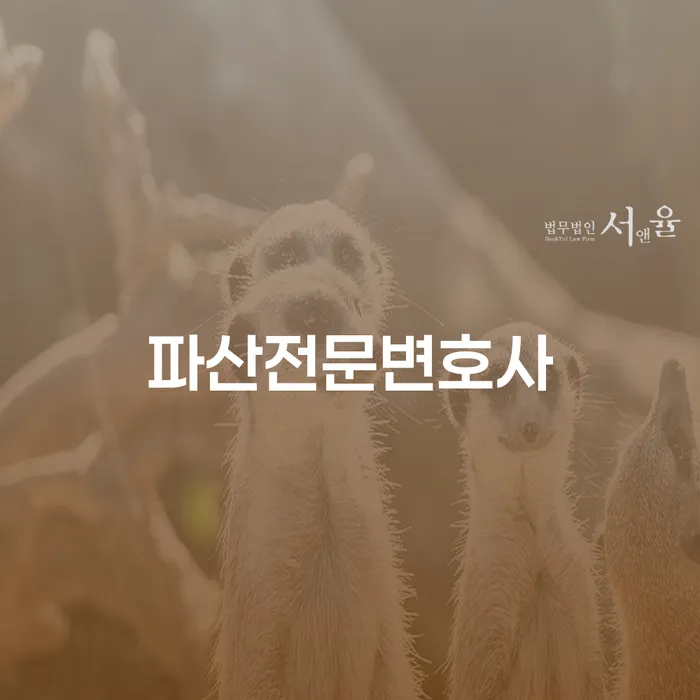 남원시 통장압류 카드빚 연체 탕감을진행