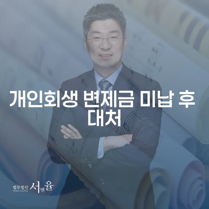 개인회생 변제금 미납 후 대처: 어떻게 해야 할까요?