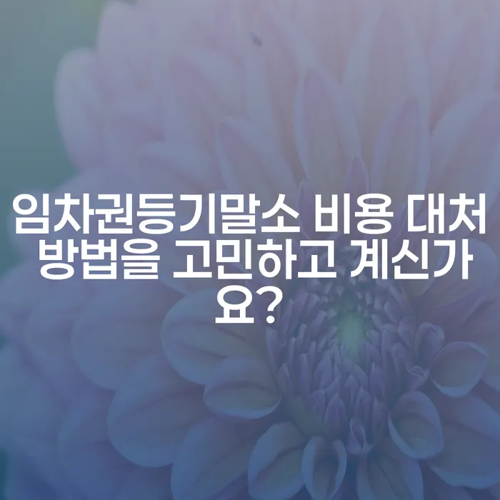 임차권등기말소 비용 대처 방법을 고민하고 계신가요?
